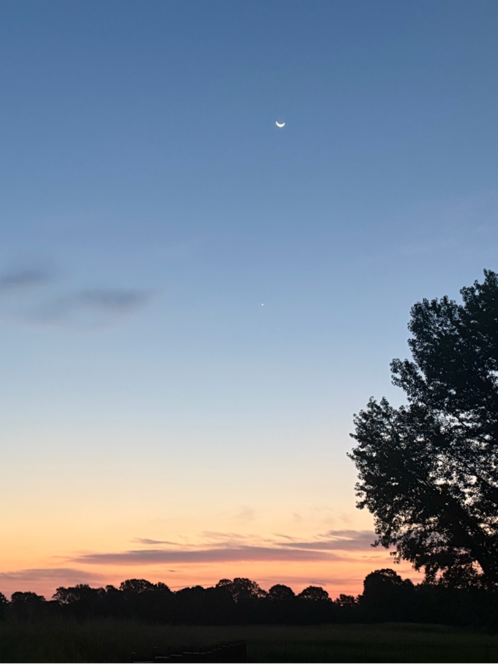 Meet your Posher, Tteresa